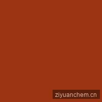 海外华人家庭